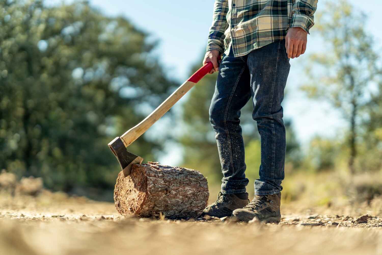 Best Dead Tree Removal  in Good Hope, AL